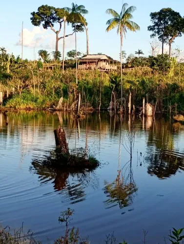 Fazenda colonia
