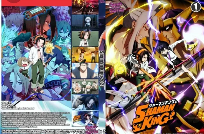 SHAMAN KING (2022) DVD OU BLU-RAY