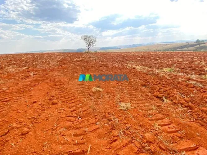 FAZENDA À VENDA - 77 HECTARES - BAMBUÍ (MG)