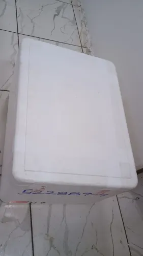 Caixa de isopor (120 litros)