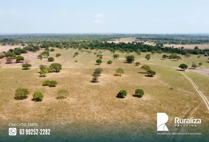 Divinópolis TO, excelente logística, 8 km da unidade de entrega de grãos, Chuvas acima de
