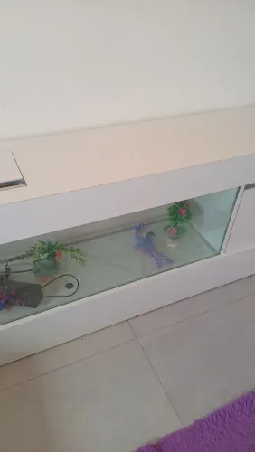 Aquário 100 litros com móvel