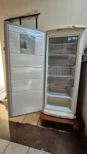 Freezer Consul 110v 231L vertical