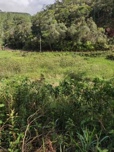 Ótima oportunidade. Sítio 20.000 M2 a 5 km de Araguaia, Marechal Floriano
