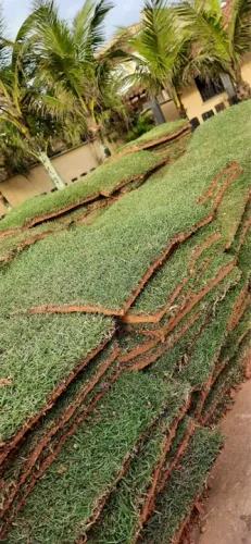 Gramas Terra Preta e Pedras