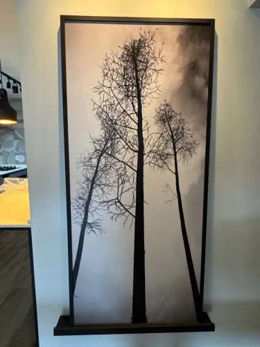 Quadro Decorativo de Árvores em Preto e Branco
