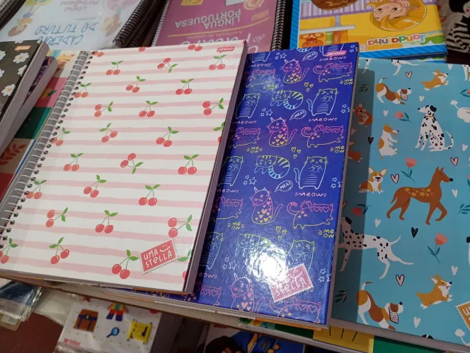 Caderno de 10 matérias. Fazemos entrega