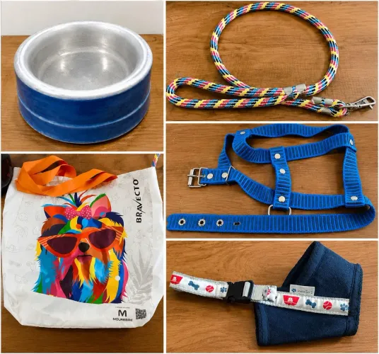 Kit dog porte médio