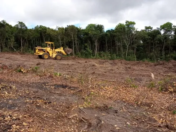 Terreno 3000 metros em Serrinha Bom Jesus do Amparo