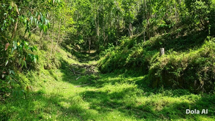 LOTE ESCRITURADO DE 5.000 m² EM ALTO TIJUCO PRETO - DOMINGOS MARTINS/ES, PARCELO, TROCO