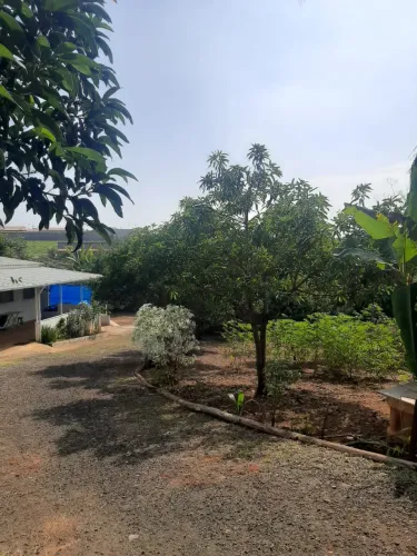 Chácara Nova Campinas - Cosmópolis