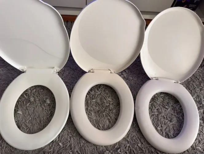 ASSENTO SANITÁRIO TIGRE