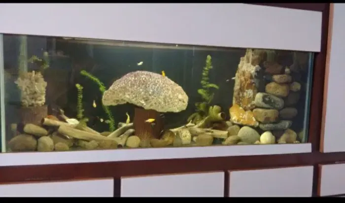 Aquário grande de 300 litros