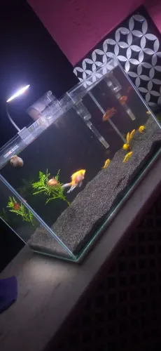 Aquário 23L completo