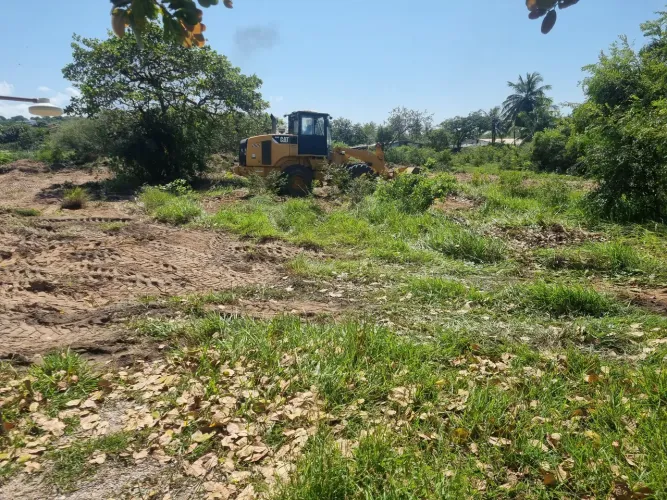 Terreno 600 m em UPANEMA - ARREIA BRAN A