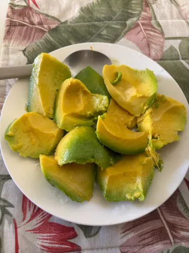Vendo chácara com casa
