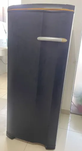 Freezer Vertical