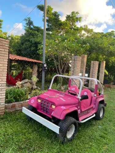 Mini Buggy Fapinha motor estacionario 4 tempos 212 Branco novo