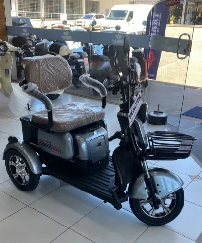 TRICICLO ELÉTRICO ADULTO 3 PESSOAS CAPACIDADE DE CARGA 200KG - EXCELENTE