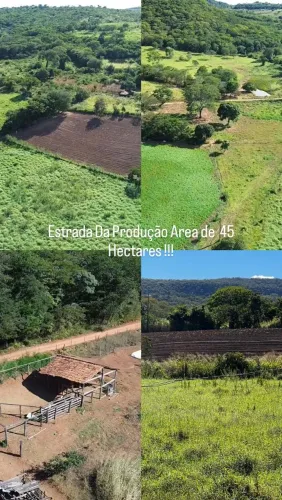 Região da procuaria 9,5 Alqueires de Qualidade !!!