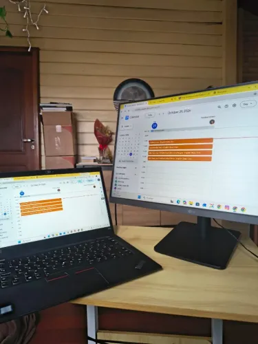 MONITOR LG GAMER 24"