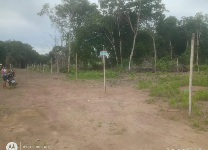 Terreno no bairro Goiabal 10x25
