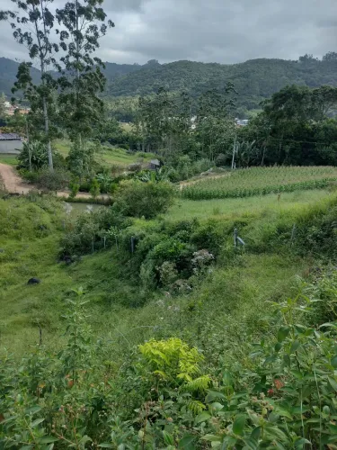 Vendo um terreno rural em Antônio Carlos