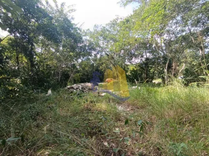 Terreno à venda, 500 m² por R$ 500.000,00 - Jardim São Lourenço - Bertioga/SP