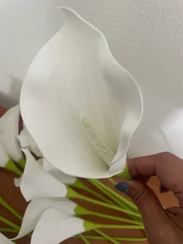 Flores copos de leite Perfeitas