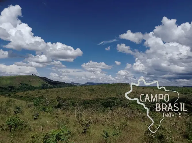 FAZENDA 700 HECTARES PASTO NATIVO EM MINAS GERAIS !