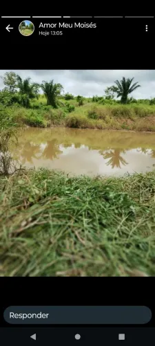 Joia rural 15 hectare com documentos pronto e localização excelente.