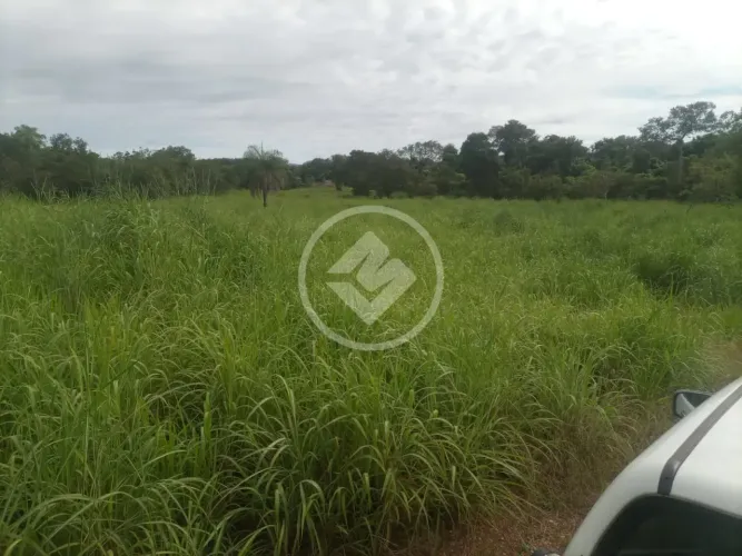 Fazenda em Natividade codigo: 324962