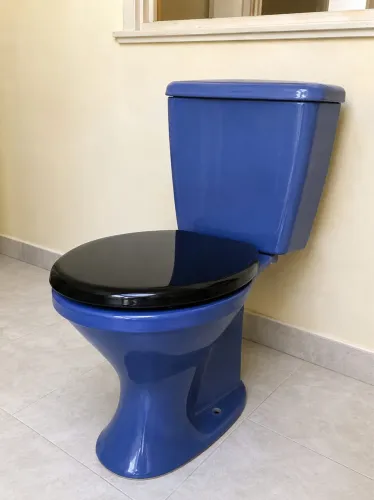 VASO SANITÁRIO - ICASA