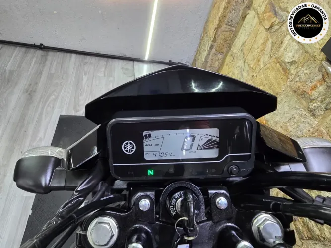 Yamaha Ybr 150 factor ed 2024
