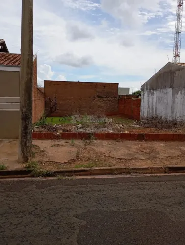 Terreno no Nato Vetorasso