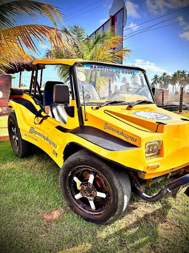 Volkswagen Buggy 1.6 8V Gasolina 2P Manual 1987