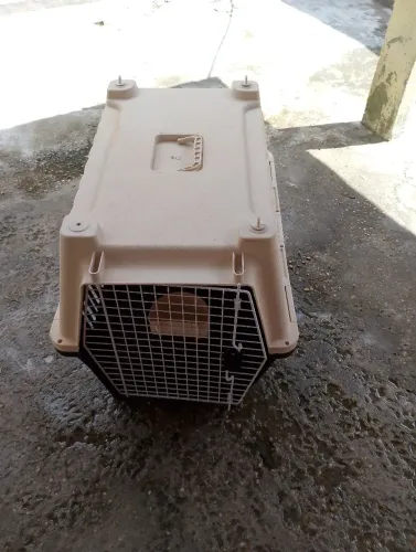 Casinha de transporte para cachorro