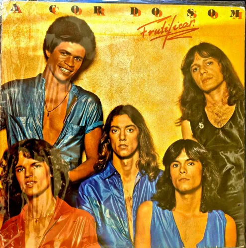 Vinil LP A Cor do Som - Frutificar (1979), Raridade!