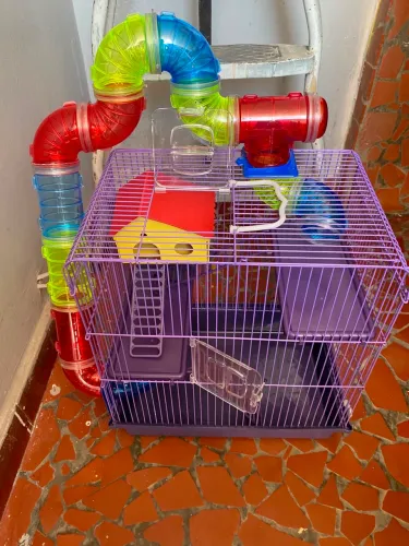 Gaiola Hamster 2 Andares Semi-Nova