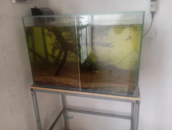 Aquário 100L