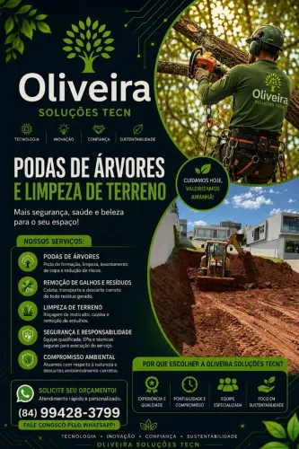Limpeza de terreno