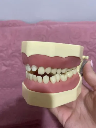 Manequim Dentistíca - orais