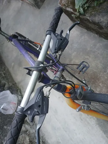 Bicicleta