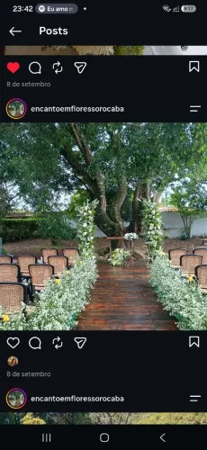 Locação, aluguel de cadeiras para casamentos e eventos
