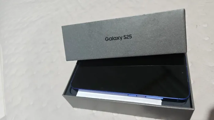 Samsung Galaxy S25