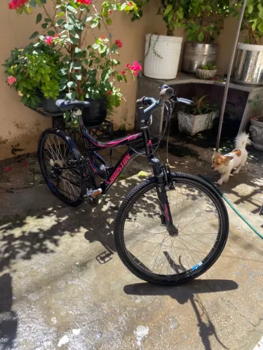 bicicleta houston