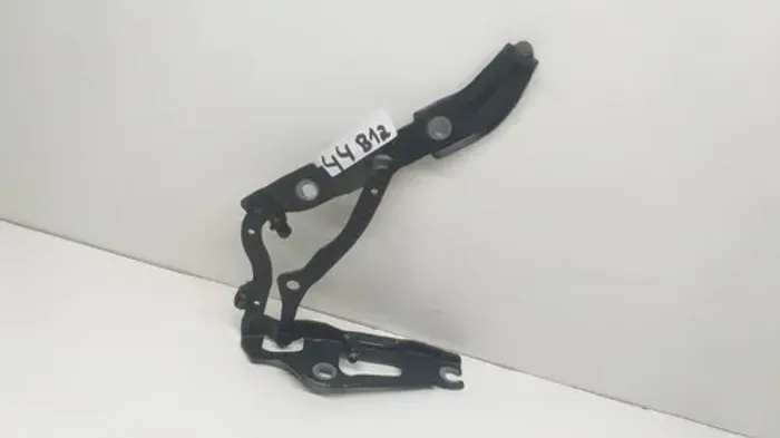 Dobradiça Esquerda Tampa Traseira Bmw 318i 2011 (44b12)