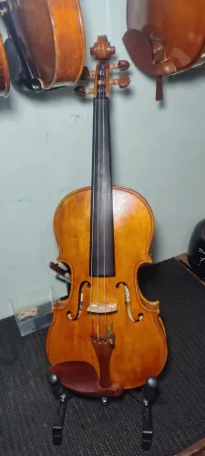 Violino 