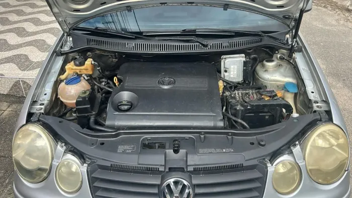 Volkswagen Polo 1.6 Mi/s.ouro 1.6 MI Tot.flex 8V 5P 2006
