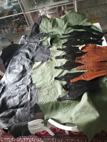 Pack de couros de avestruz contendo 18 canelas e 4 inteiros. 